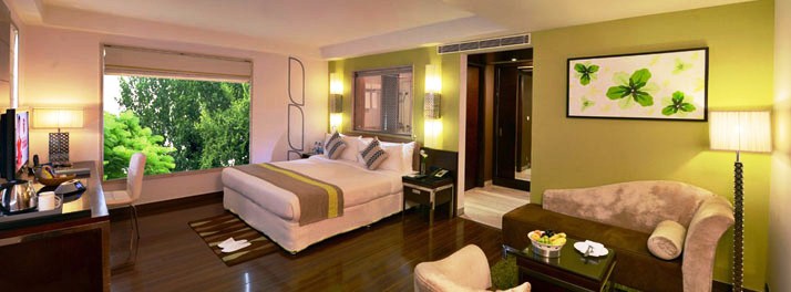 567/Leisure Inn West Gurgaon - Gurgaon 10.jpg